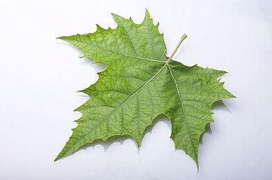 《FF14》新资料片《黄金的遗产》主艺图公开 新角色登场